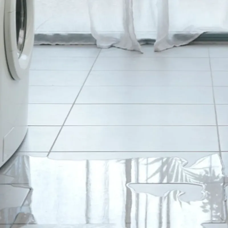 Appliance Leak Cleanup in Cloverdale, CA